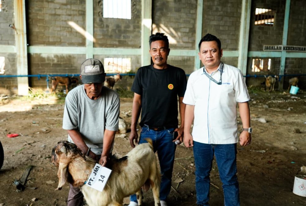 Idul Adha 1447 H - PT. Janata Marina Indah Salurkan Hewan Qurban untuk Karyawan, Subkontraktor, Masjid & Masyarakat Sekitar